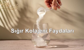 Sığır Kolajeni Faydaları