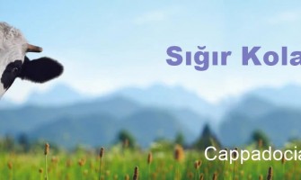 Sığır Kolajeni İyi Mi?