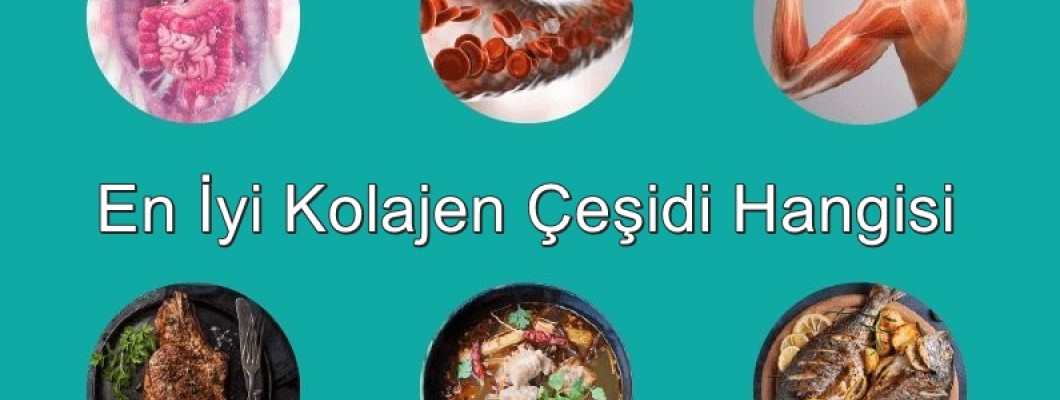 En İyi Kolajen Çeşidi Hangisi?